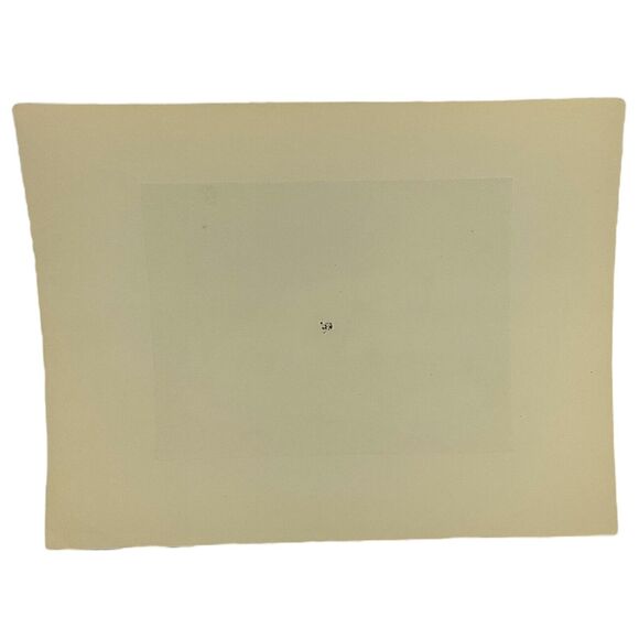 Will Simmons Polar Maternity Signed Etching Reproduction Nature Magazine - Picture 3 of 3